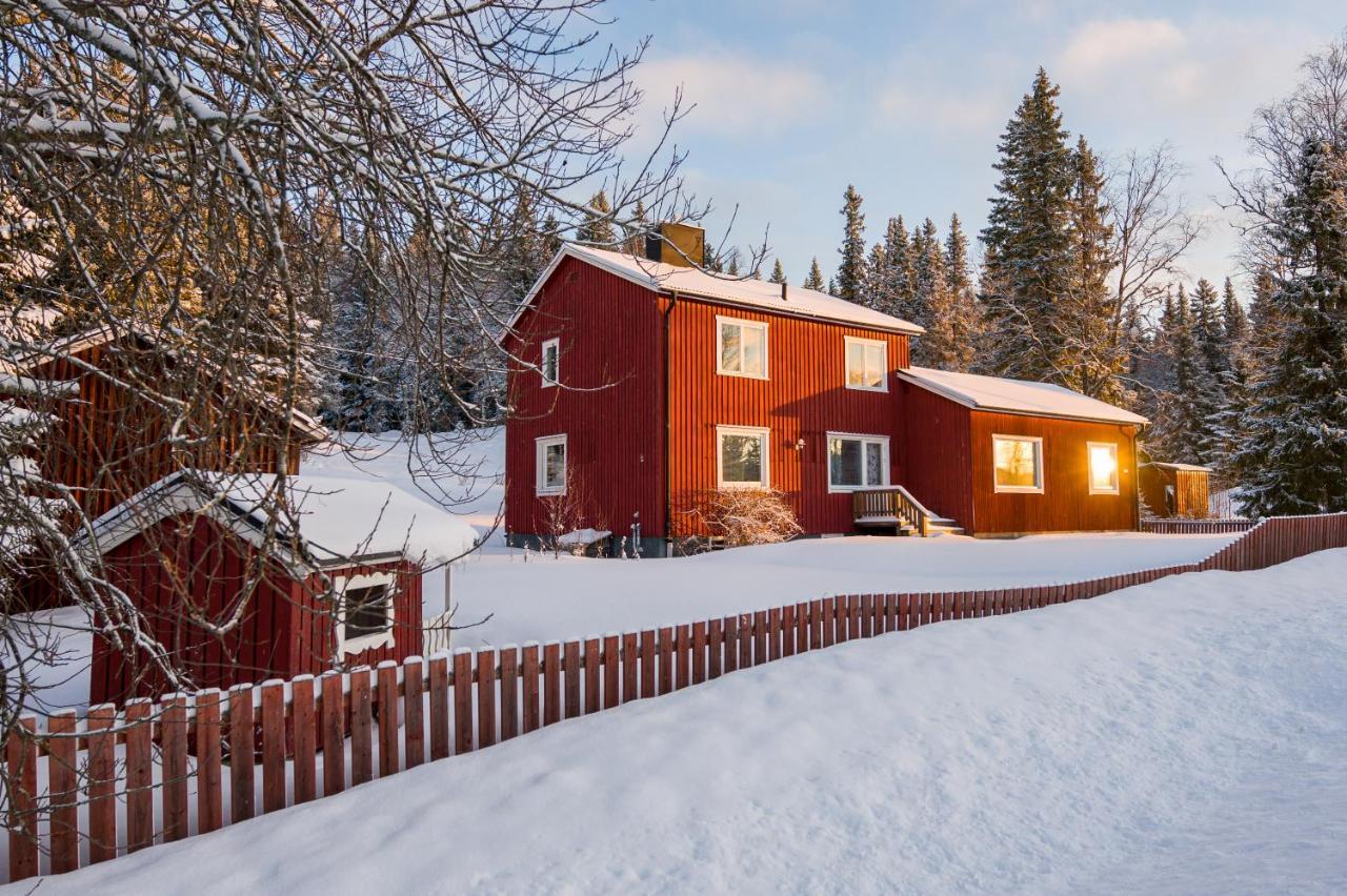 Villa The Bear'S Den à Håkafot Extérieur photo
